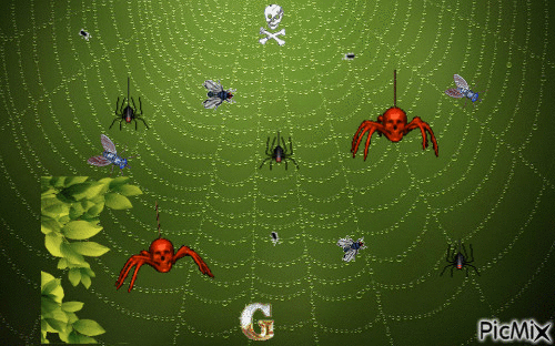 araignée 1 - GIF animado gratis