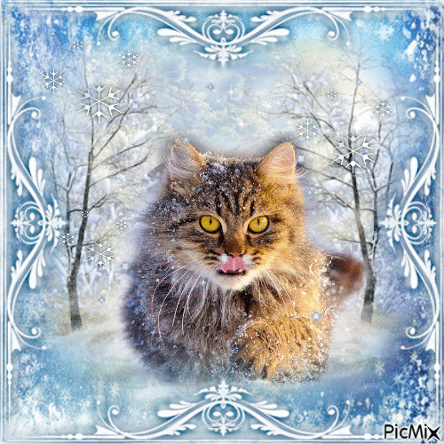 snow cat - Gratis animerad GIF
