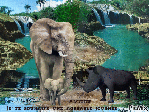 les éléphants et le rhinocéros en vadrouille - 無料のアニメーション GIF