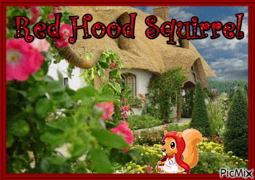 RED HOOD SQUIRREL - Darmowy animowany GIF