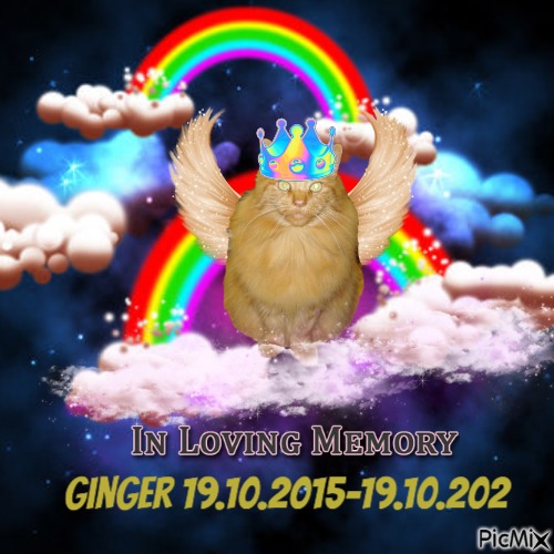 Ginger - Free PNG