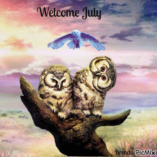 welcome July owl - Gratis geanimeerde GIF