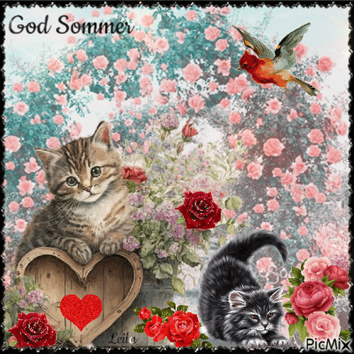Happy Summer. Cats, bird, rose garden - Nemokamas animacinis gif