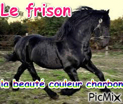 Frison - Besplatni animirani GIF