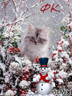 γατακι - Ingyenes animált GIF