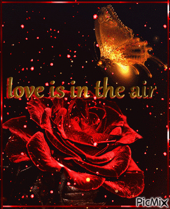 love in the air - GIF animate gratis