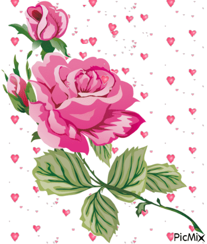 Pink Rose - Δωρεάν κινούμενο GIF