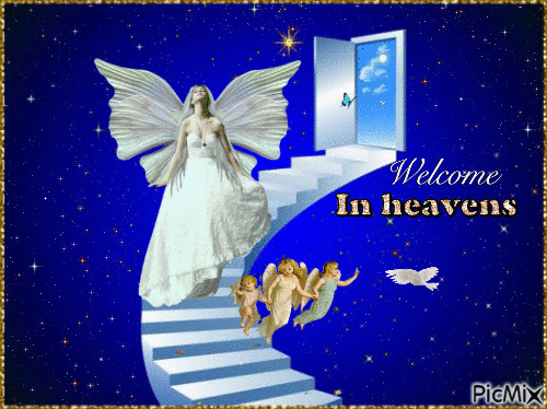 welcome in havens - Free animated GIF