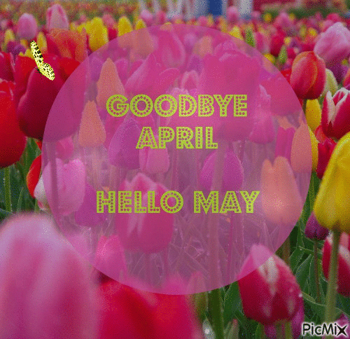 Goodbye April, Hello May - GIF animado grátis