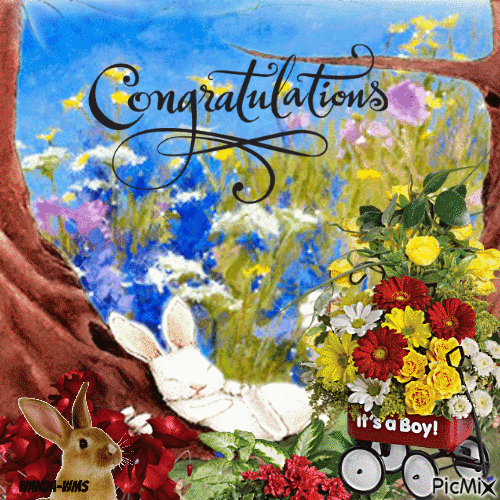Congratulations -boy -bunny-nature-flowers - Бесплатный анимированный гифка