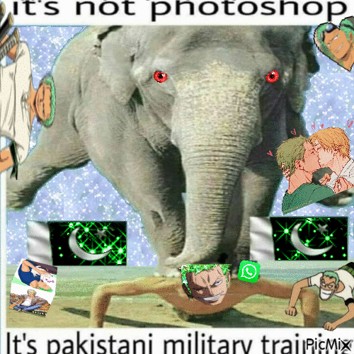 zoro is a pakistani military officer confirmed - Gratis animerad GIF