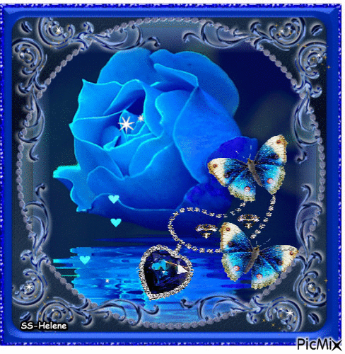 Blue rose. - Ingyenes animált GIF