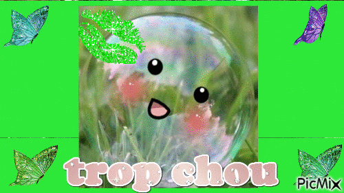 TROP CHOU - Zdarma animovaný GIF