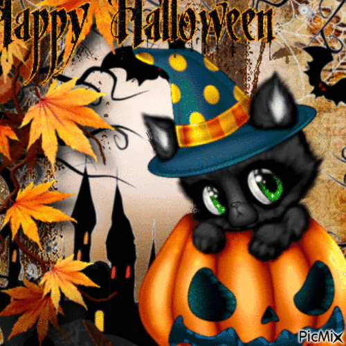 Chat déguisé d'halloween - Besplatni animirani GIF