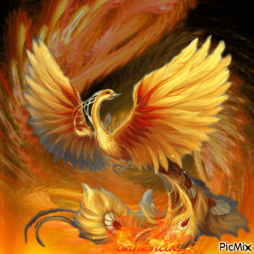 Rise of the Phoenix - 無料のアニメーション GIF