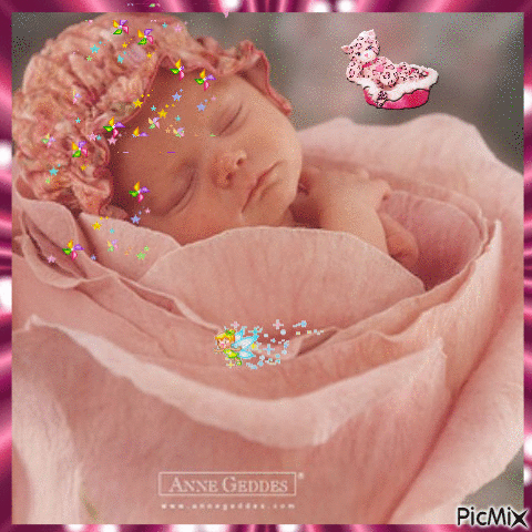 Bébé dans les roses - Darmowy animowany GIF