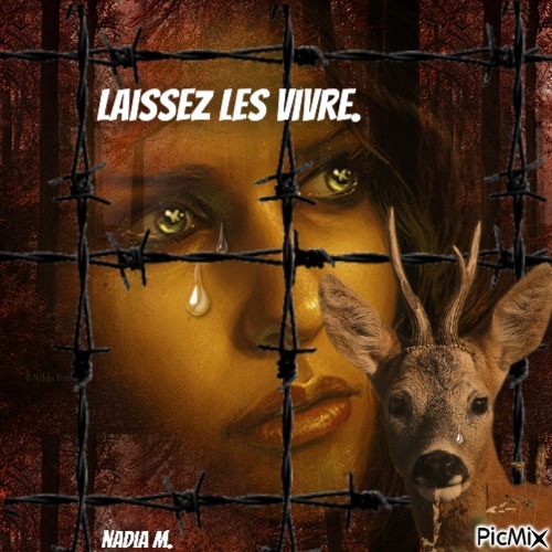 je suis anti chasse ,,, - Free PNG