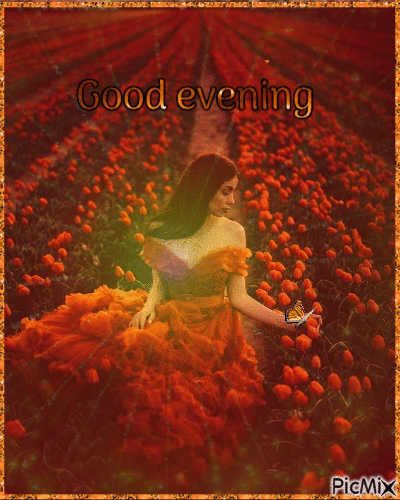 good evening - 無料のアニメーション GIF