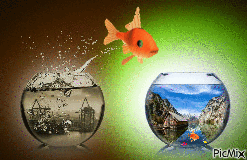 Agua - Darmowy animowany GIF
