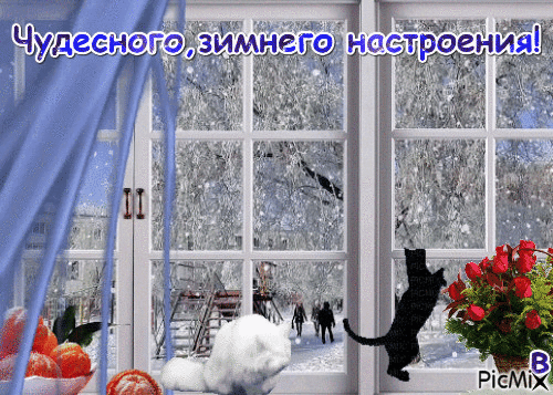 Чудесного,зимнего настроения! - GIF animado gratis