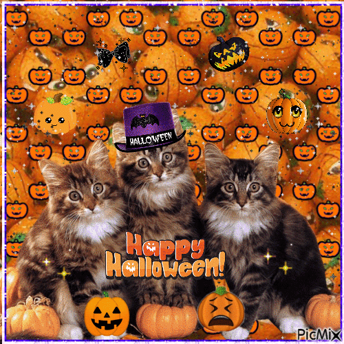 Halloween kittens - GIF animasi gratis