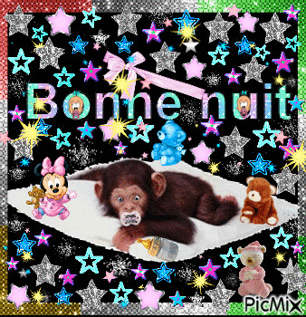 **** BONNE NUIT...!!!! **** - Free animated GIF