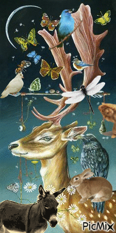 Collage animal - Бесплатни анимирани ГИФ