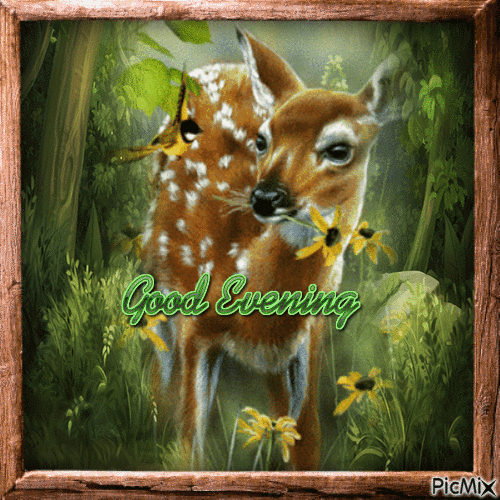 Good Evening Little Deer - GIF animado gratis