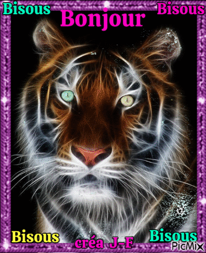 bonjour tigre - Bezmaksas animēts GIF