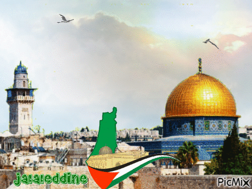 Palestine - Nemokamas animacinis gif