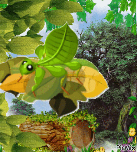 leaf walker - Besplatni animirani GIF