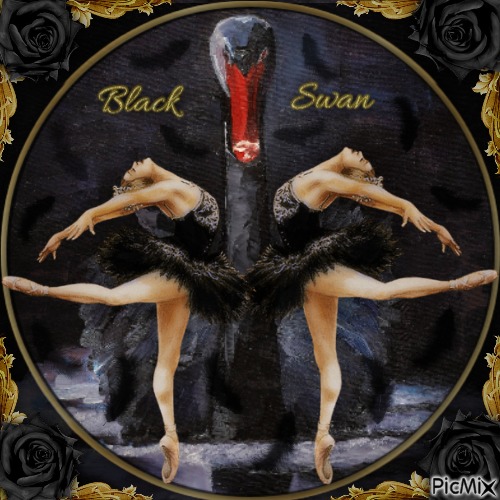 Black Swan-RM - бесплатно png