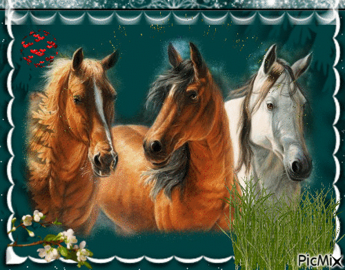 L'amour des chevaux - Darmowy animowany GIF