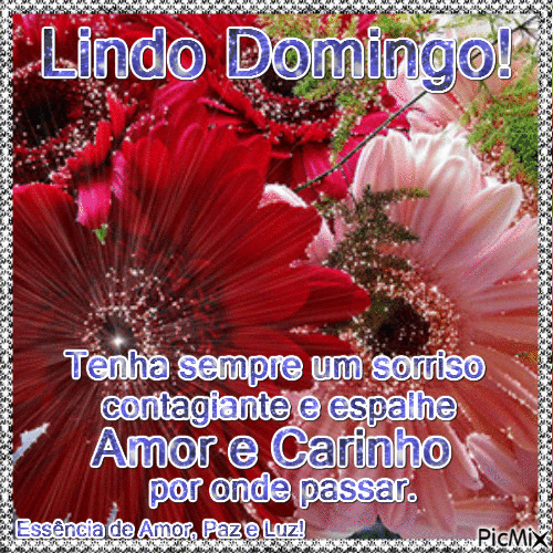 Lindo Domingo! - GIF เคลื่อนไหวฟรี