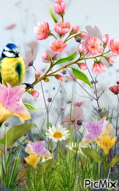 Pájaro entre flores - gratis png