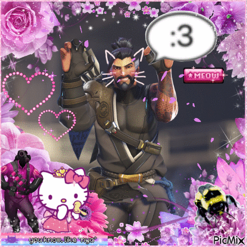 hanzo overwatch meow cat silly - GIF animate gratis