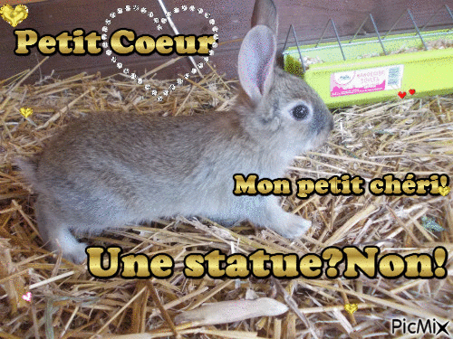 Petit Coeur. - GIF animate gratis