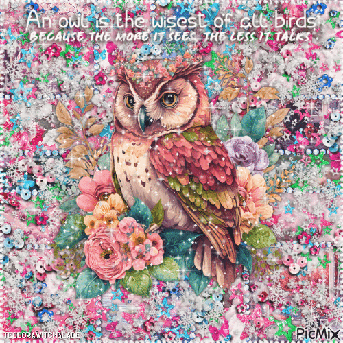 An owl is the wisest of all birds. - GIF animado grátis