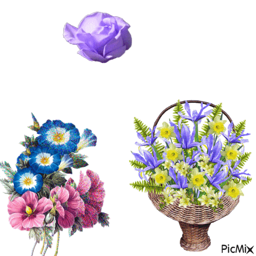 fiori - Nemokamas animacinis gif