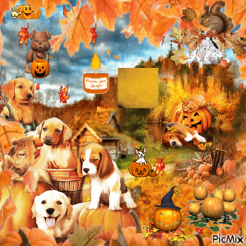 pumpkin dog aesthetic :)))))) - GIF animasi gratis