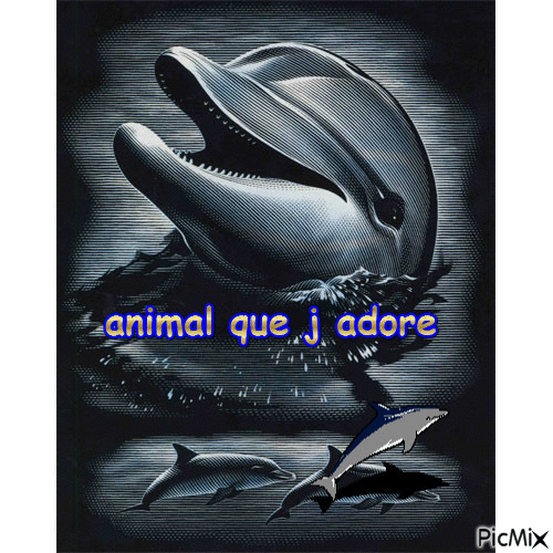 animal - Darmowy animowany GIF