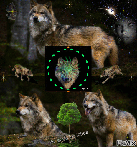els sr de los lobos - Бесплатни анимирани ГИФ