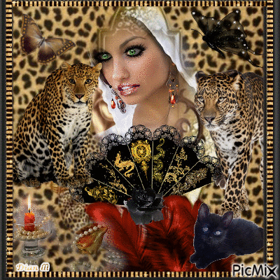 Cheetahs.. - GIF animé gratuit