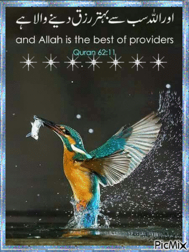 Beloved Allah - Besplatni animirani GIF