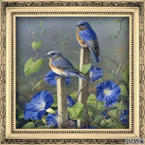 Blaue Vögel - zdarma png