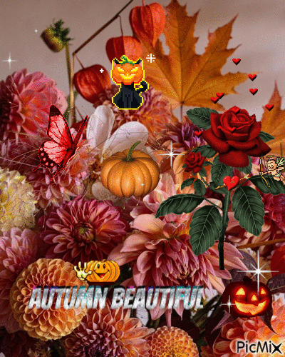 Fall beauty :) - Бесплатный анимированный гифка