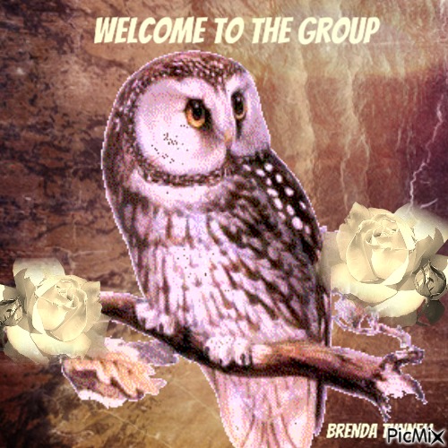 welcome owl - png gratuito