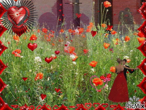 Amour et coquelicots - Free animated GIF