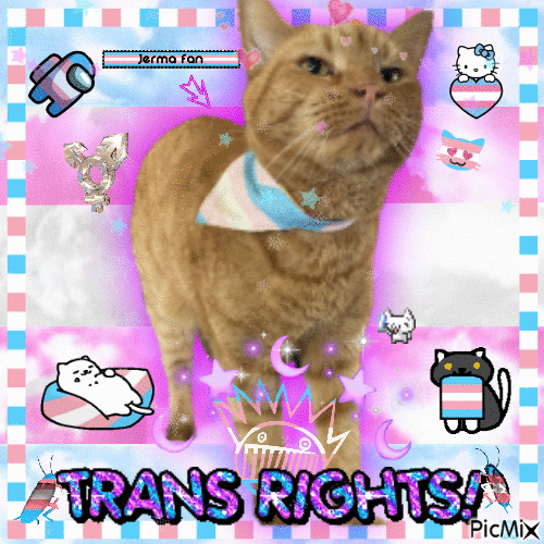 Trans Rights Mustard - GIF animasi gratis