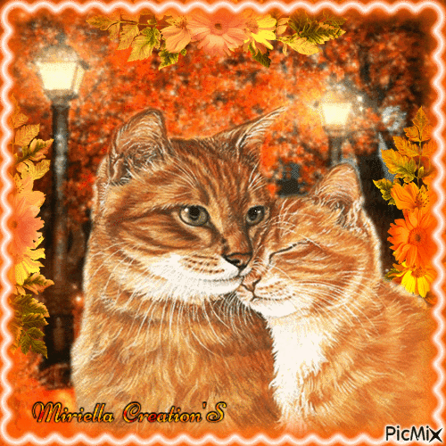 Chats d'automne "tendresse" - Free animated GIF